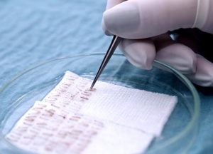 PENGELUARAN AKAR RAMBUT 