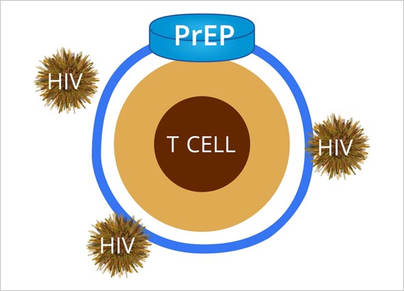 PrEP-Anti-HIV-Medication